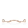 Chambelink Strass – Gioielli per scarpe – Metallo e strass – Oro rosa