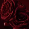 Rose Fatiche – Eau De Parfum 40 ml Rose Fatiche – Eau De Parfum 40 ml